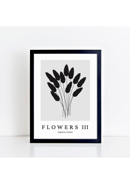 Flowers III Latin - Grey Print