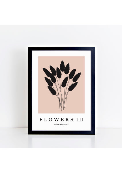 Flowers III Latin Print