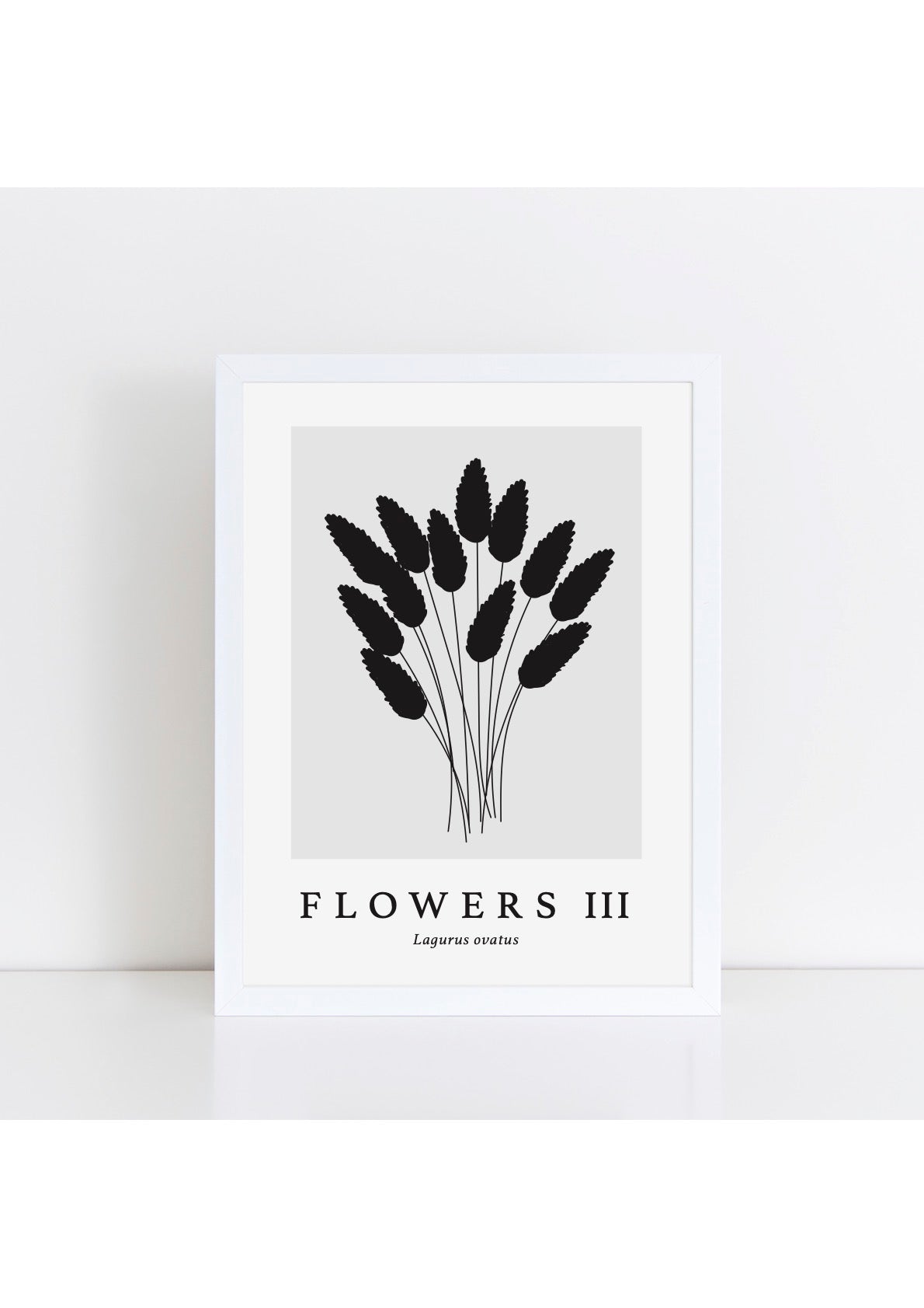 Flowers III Latin - Grey Print