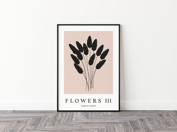 Flowers III Latin Print