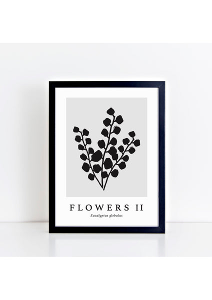 Flowers II Latin - Grey Print