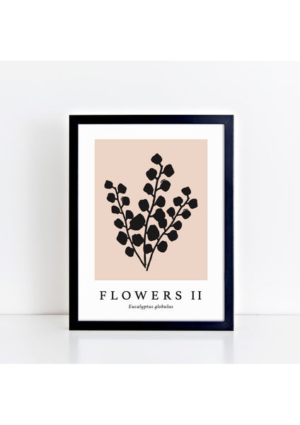 Flowers II Latin Print