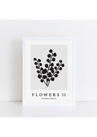 Flowers II Latin - Grey Print