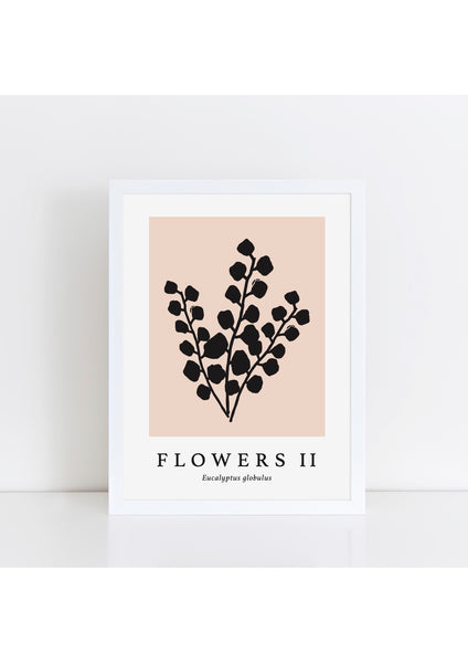 Flowers II Latin Print