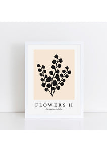 Flowers II Latin - Natural Print