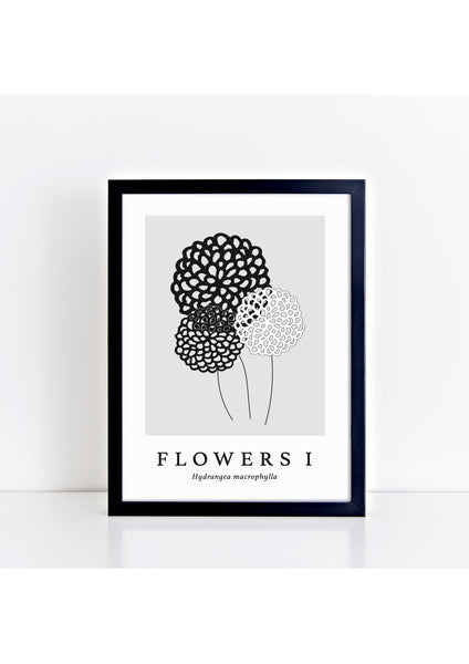 Flowers I Latin -  Grey Print