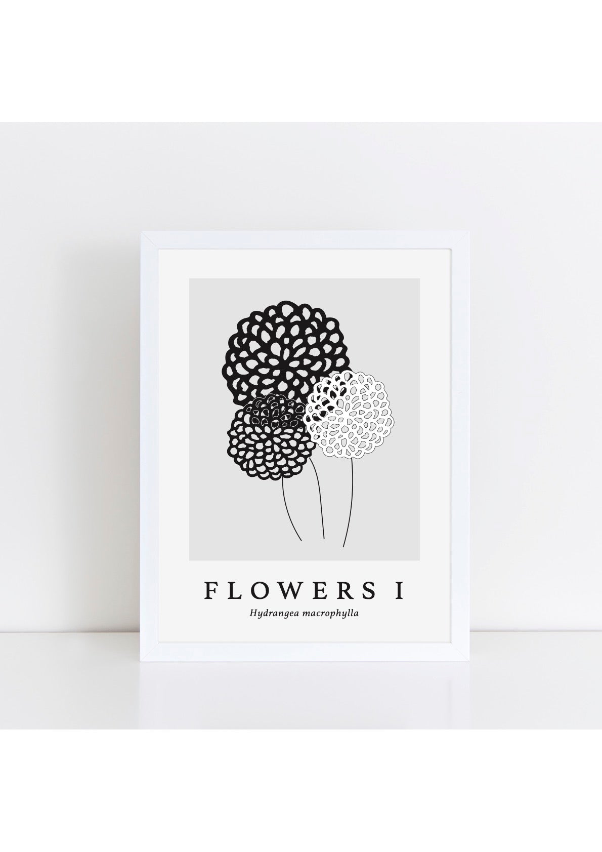 Flowers I Latin -  Grey Print