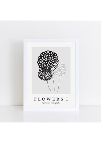 Flowers I Latin -  Grey Print