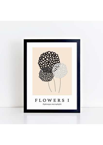 Flowers I Latin -  Natural Print