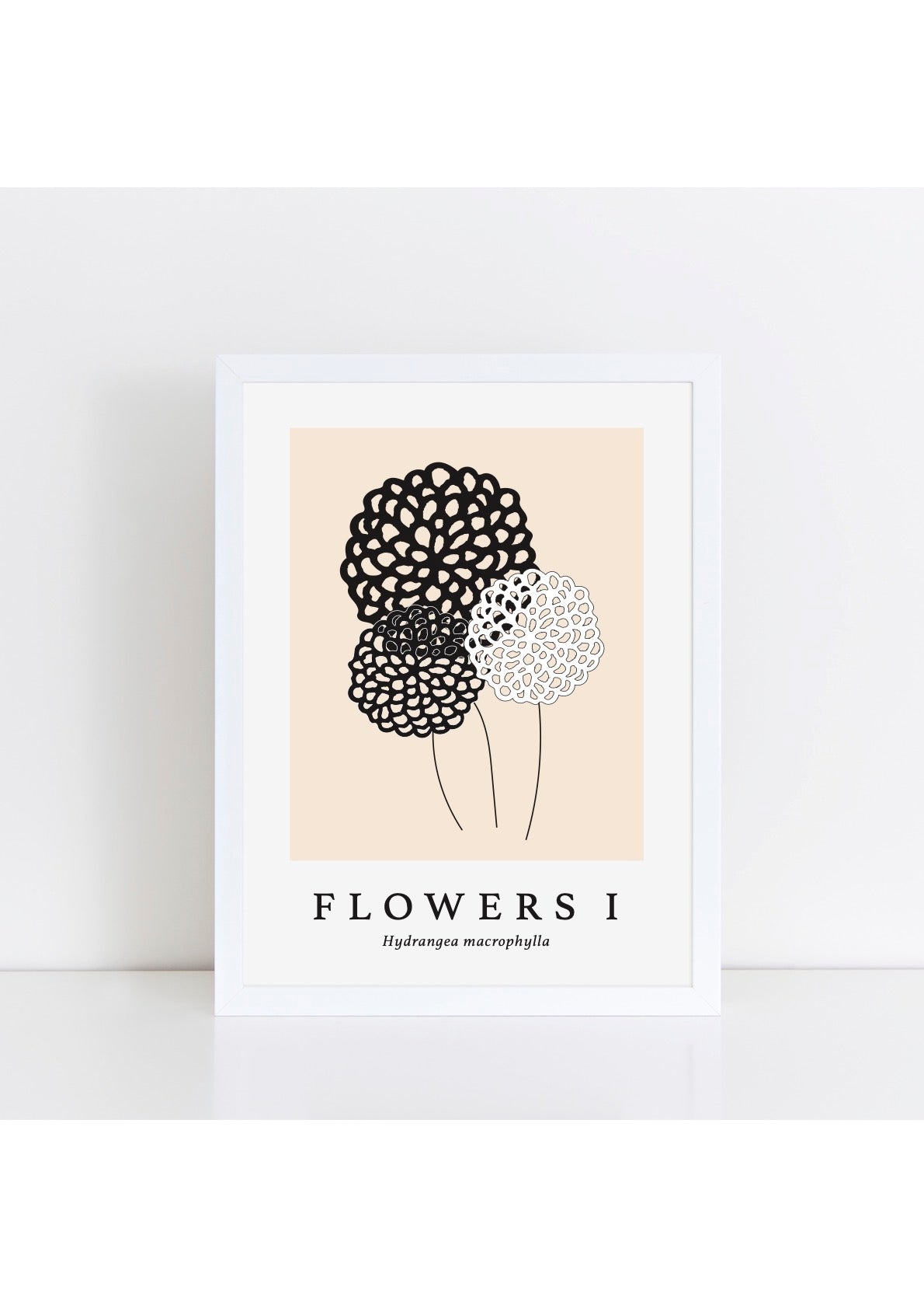 Flowers I Latin -  Natural Print